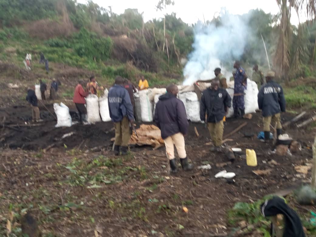 16 Netted By Nema In Kalangala Buffer Zone Protection Drive