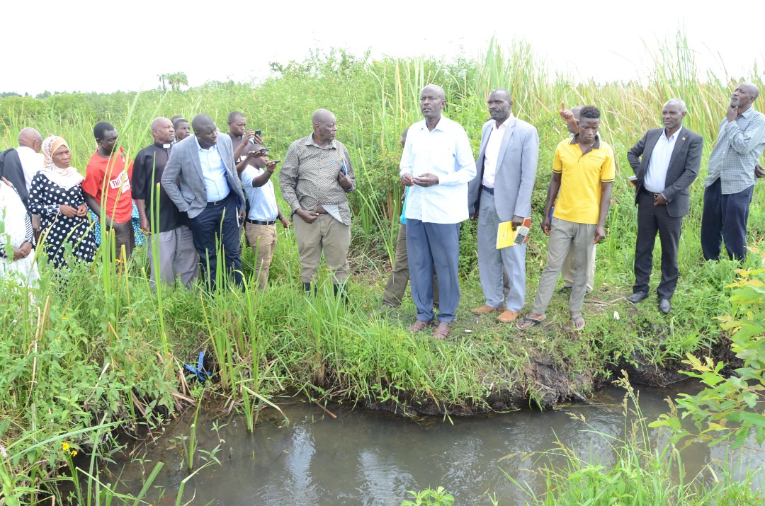Environment officials, tycoons accused of connivance on wetland mismanagement