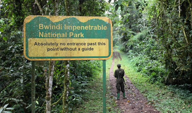 Over UGX 3.38B Remitted to Districts Hosting Bwindi and Mgahinga Game Parks.