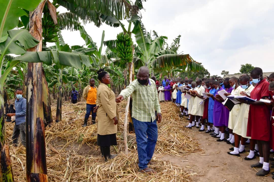 Practice Four- Acre Model Plan For Better Yields – Students Advised