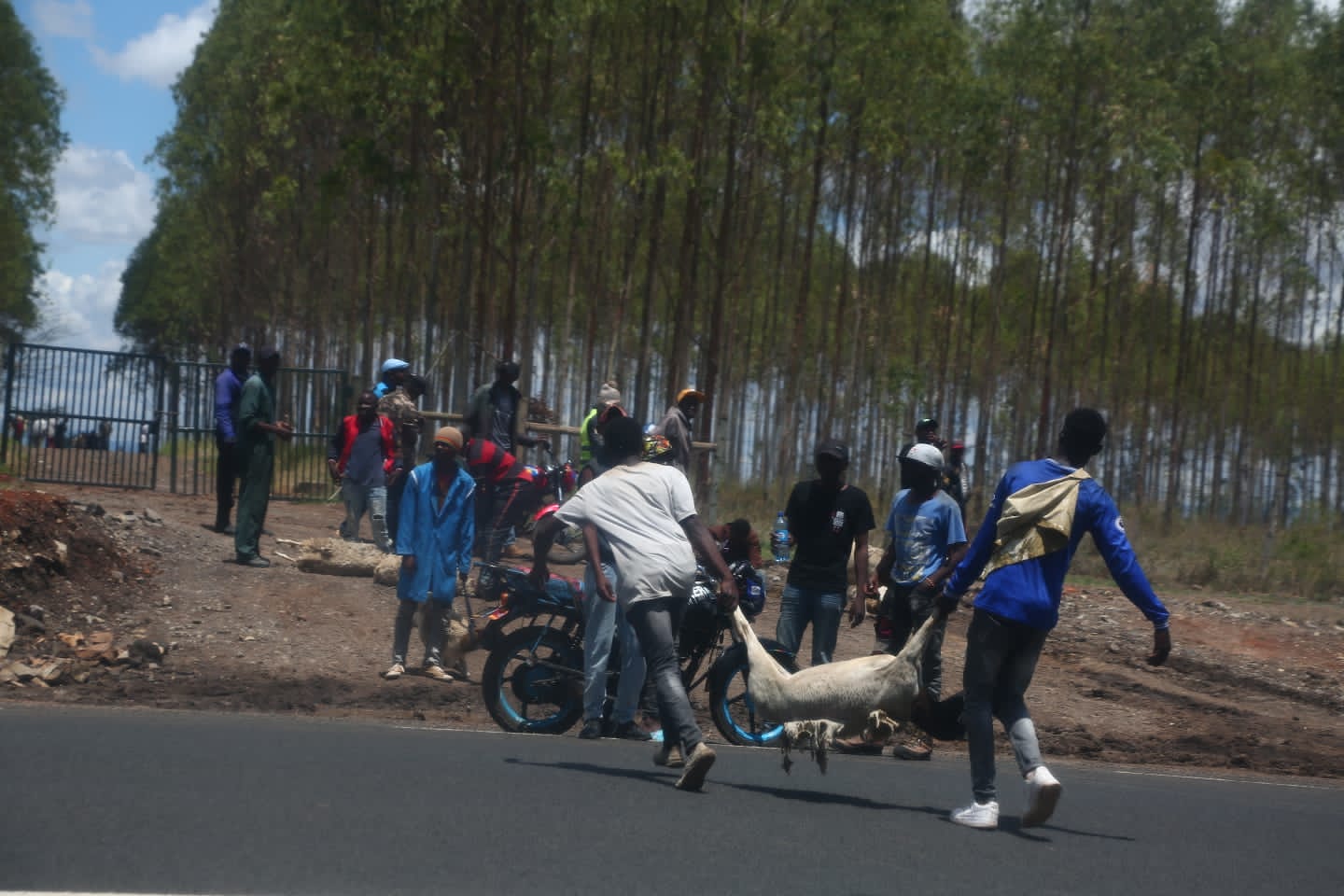 U-Turn: Drama as Kenyan rioters target Raila, Kenyatta businesses