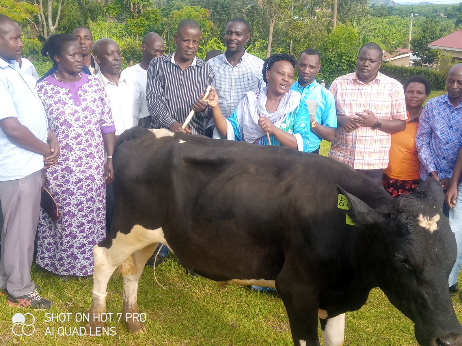 Councilor Twinomujuni donates over 10 mating bulls to boost milk production in Rubaya sub-county