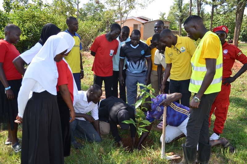 Climate Change: NRM Youth cadres in massive tree planting campaign