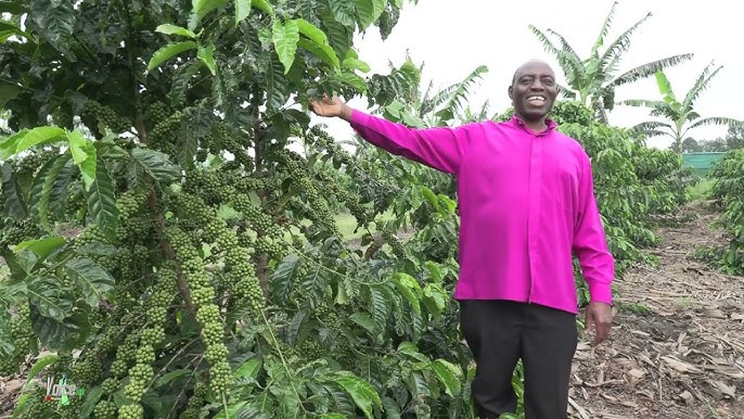 Government tasked for community critical sensitization over Coffee Farmers’ registration