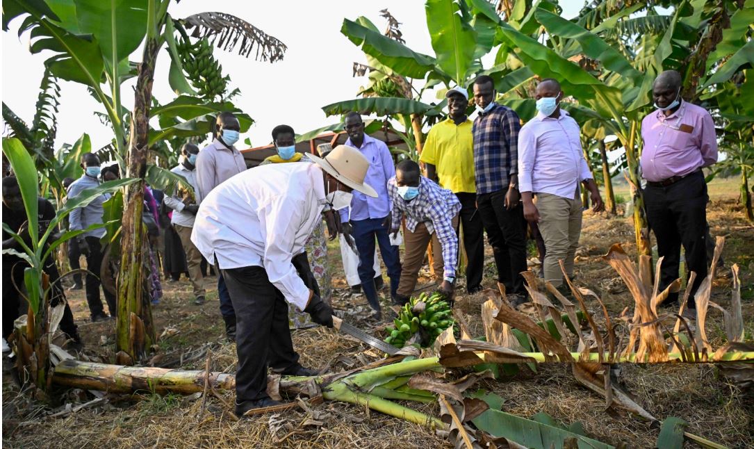 President Museveni calls for action against Land Fragmentation in Teso Sub-Region